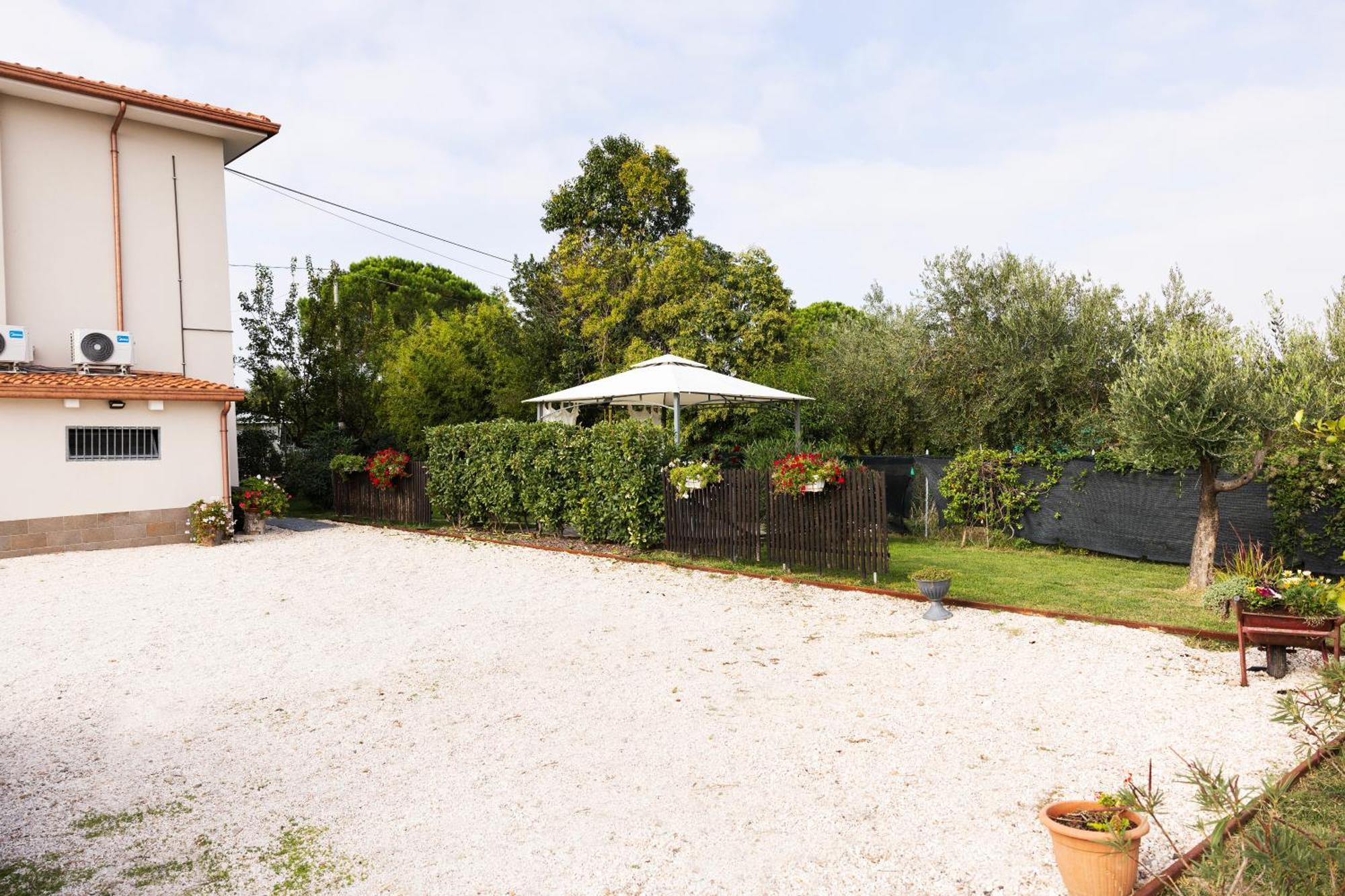 Il Noce Appartamento 2 Misano Adriatico Exteriér fotografie